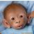 Bobo, baby monkey doll by Linda Murray - view 2